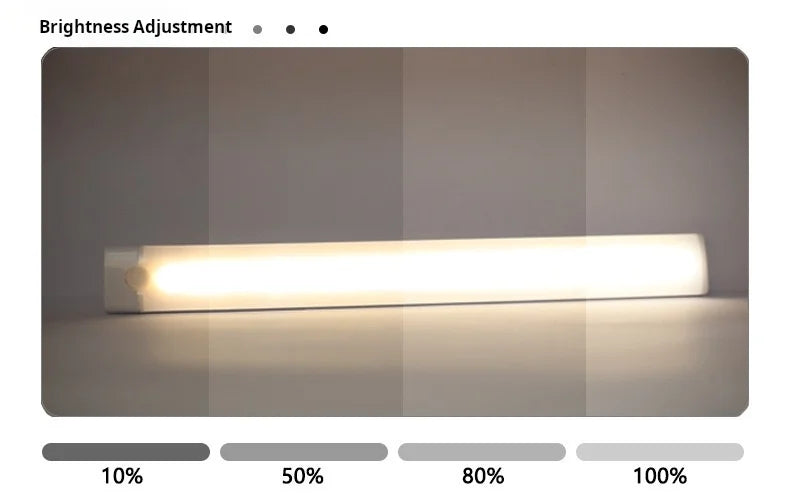 Bright Rechargeable LED Motion Sensor Light for Closets
